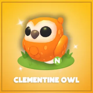 Neon Clementine Owl