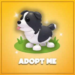 Adopt Me