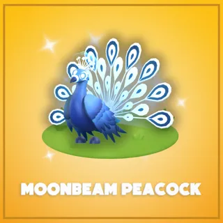 Moonbeam Peacock