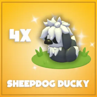 4x Sheepdog Ducky