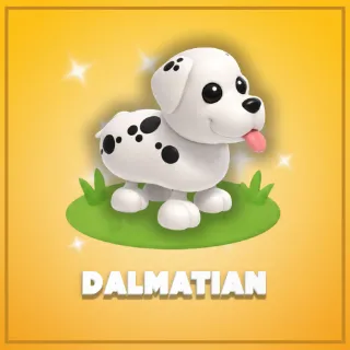 Dalmatian