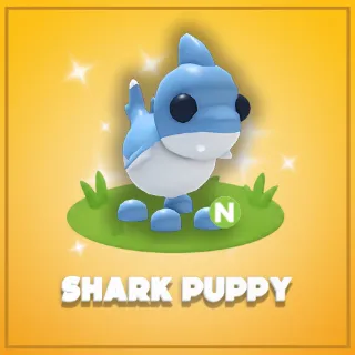 Neon Shark Puppy