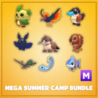 Mega Summer Camp Bundle