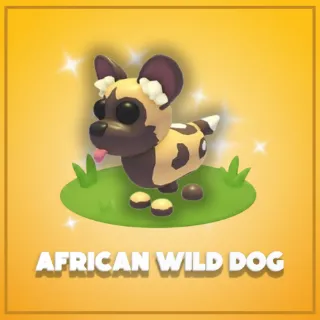 African Wild Dog