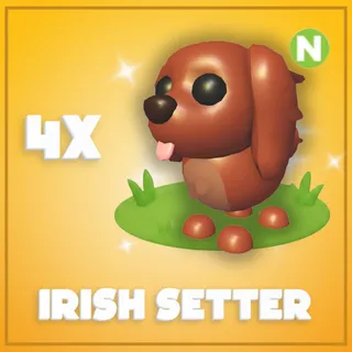 4xNeon Irish Setter