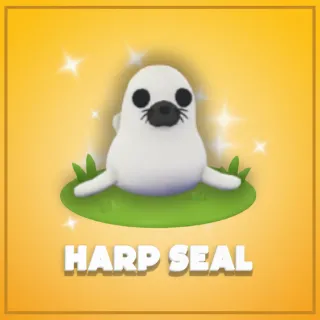 Harp Seal