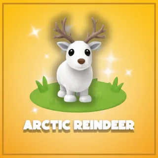 Arctic Reindeer