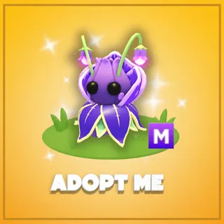 Adopt Me