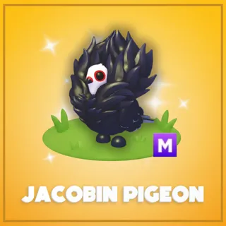 Mega Jacobin Pigeon