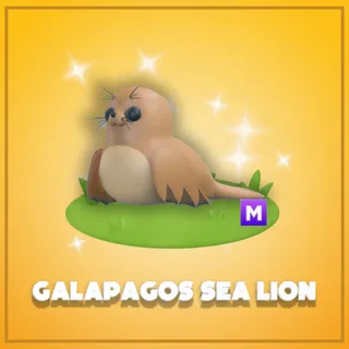 Mega Galapagos Sea Lion