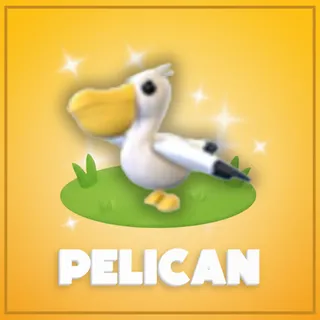 Pelican
