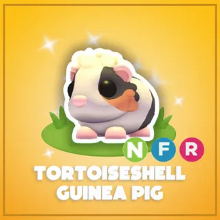 Neon Tortoiseshell Guinea Pig