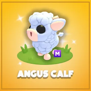Mega Angus Calf