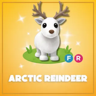 Arctic Reindeer FR