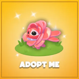 Adopt Me