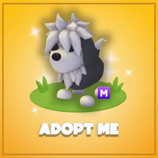 Adopt Me