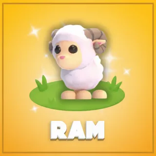 Ram
