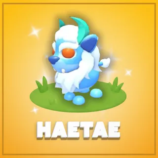 Haetae