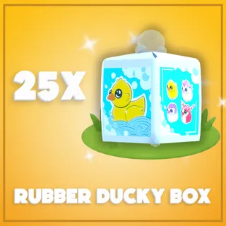 25x Rubber Ducky Box