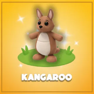 Kangaroo