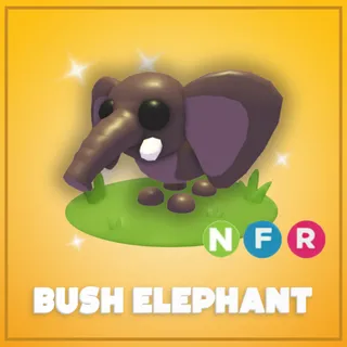 Neon Bush Elephant