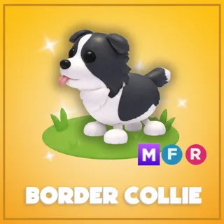 Mega Border Collie