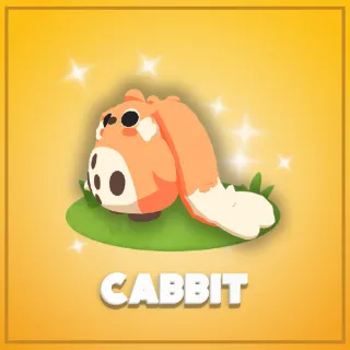 Cabbit