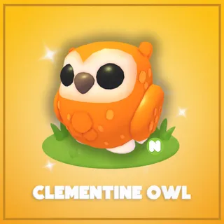 Neon Clementine Owl