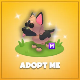 Adopt Me