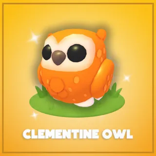 Clementine Owl