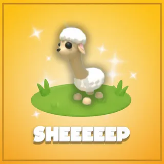 Sheeeeep