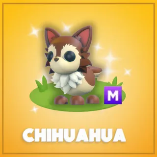 Mega Chihuahua