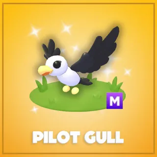 Mega Pilot Gull