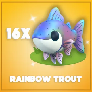 16x Rainbow Trout