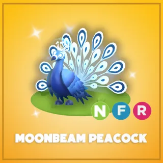 Neon Moonbeam Peacock