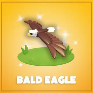 Bald Eagle