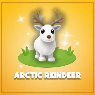 Arctic Reindeer