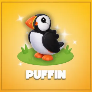 Puffin
