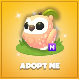 Adopt Me