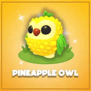 Pineapple Owl