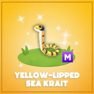 Mega Yellow-lipped Sea Krait