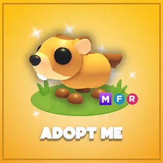 Adopt Me