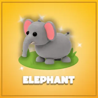 Elephant