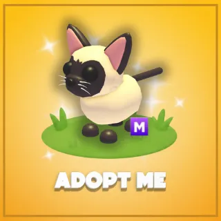 Adopt Me