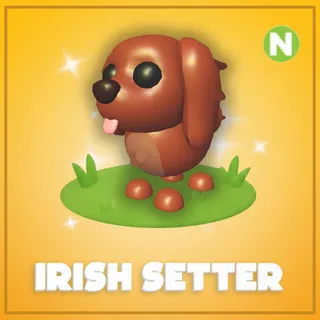 Neon Irish Setter