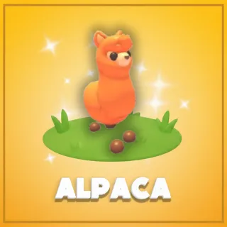 Alpaca