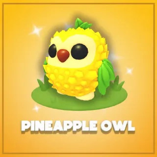 Pineapple Owl