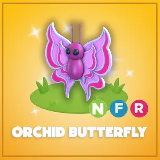 Neon Orchid Butterfly 