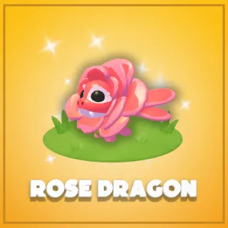 Rose Dragon 