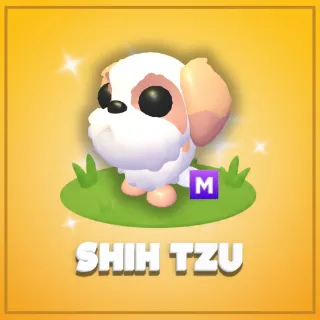 Mega Shih Tzu